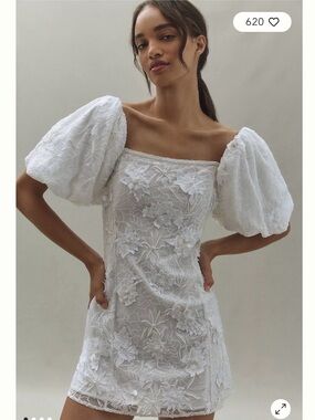 BHLDN 3D Floral Removable Puff-Sleeve Mini Dress Small